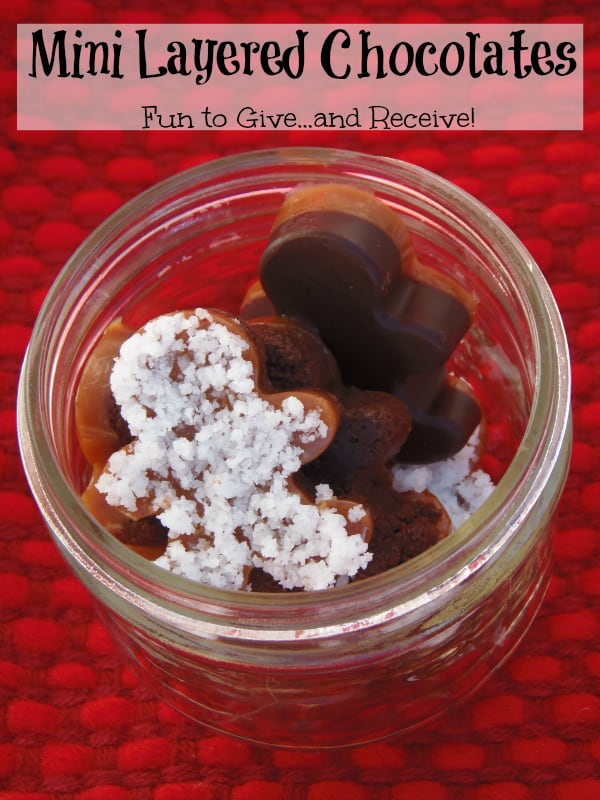 Save Money by Making Mini Layered Chocolates for Christmas Gifts!