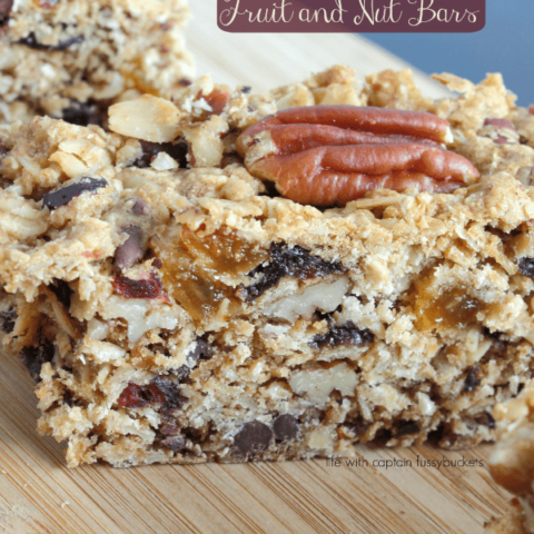 Chocolate Oatmeal Cookie Fruit and Nut Bars