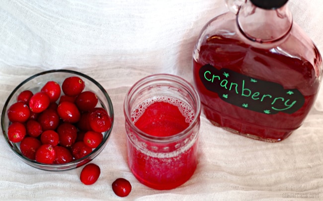 Homemade Cranberry Soda – An Easy Drink Recipe To Make Christmas Special