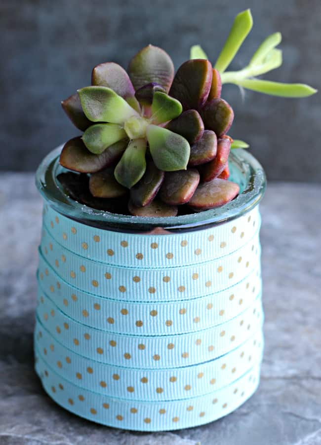 Vikalpah: DIY planters from yogurt containers