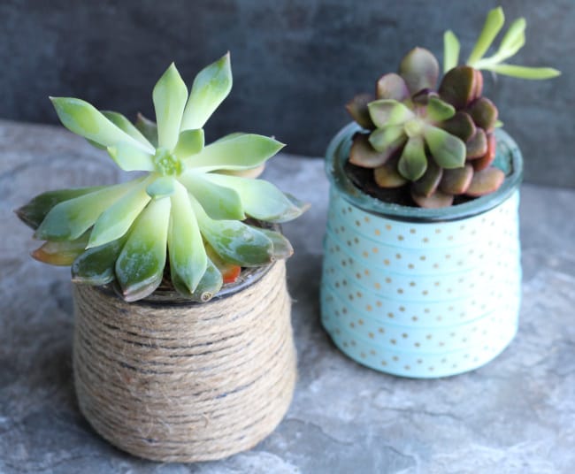 https://gingercasa.com/wp-content/uploads/2018/05/diy-succulent-planter-glass-yogurt-jars.jpg