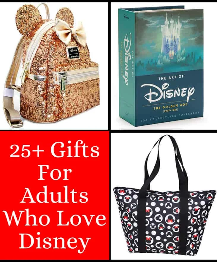 https://www.gingercasa.com/wp-content/uploads/2019/11/gifts20for20adults20who20love20disney20pin.jpg.webp