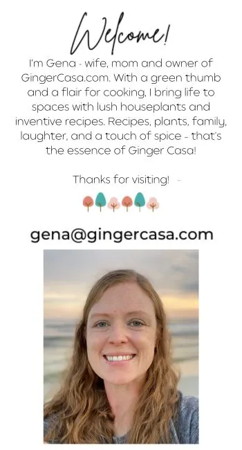 Best Indoor Plants to Grow from Seed - Ginger Casa