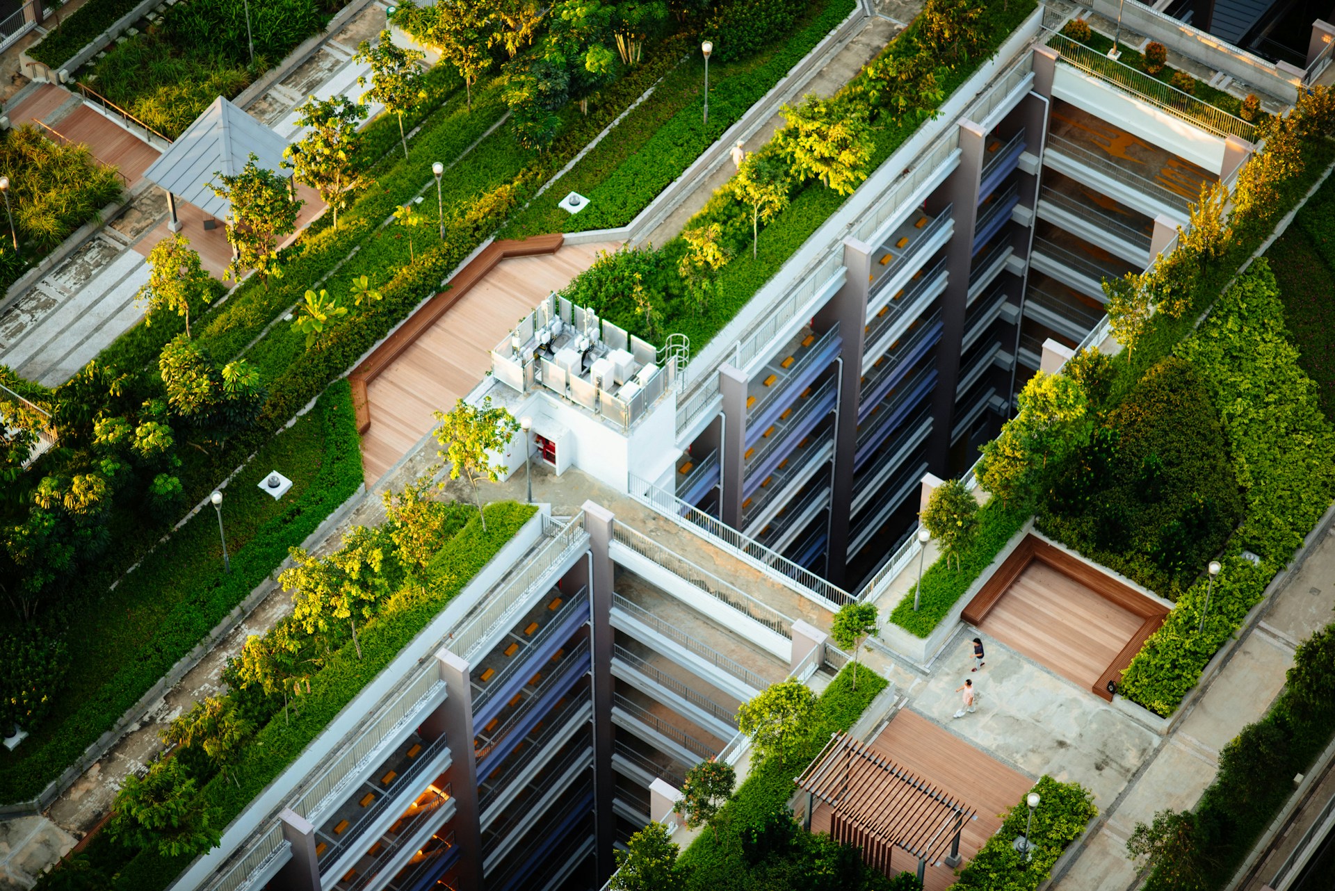 green rooftop