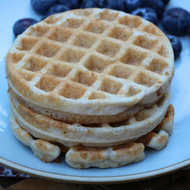 After Workout Gluten Free Waffles for One Recipe