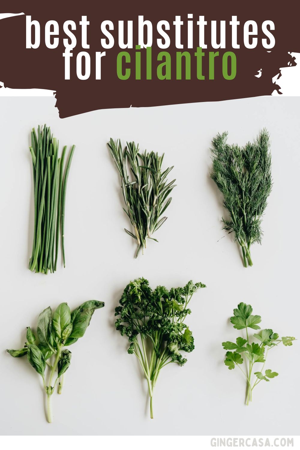 best substitutes for cilantro